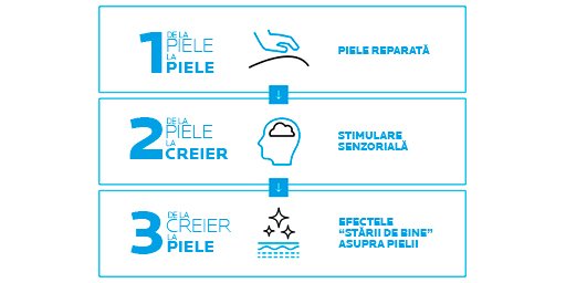 efectele masajului pentru piele si creier
